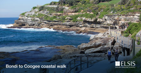 General_Calendar_Banner_Bondi to Coogee coastal walk