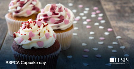 General_Calendar_Banner_RSPCA Cupcake day