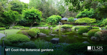 General_Calendar_Banner_ MT Coot-tha Botanical gardens