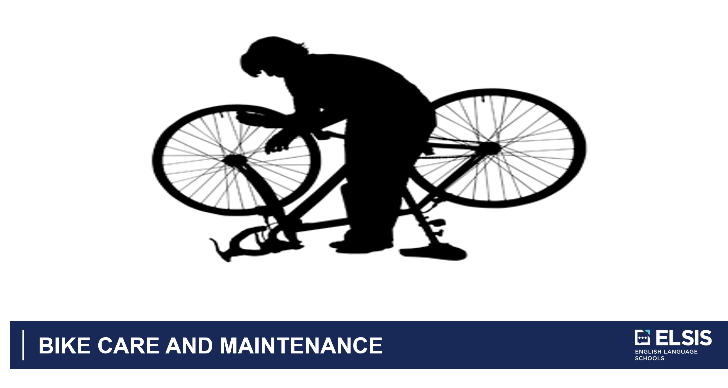 bike care and maintenance